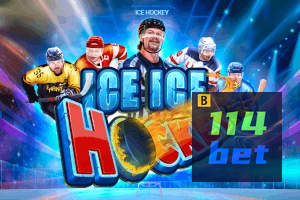 114BET feedback — categorias de sugestão e melhoria no app