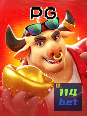 114BET cadastro — tela de formulário no app oficial
