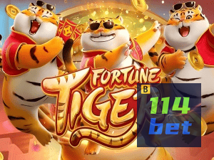 Guia install APK 114BET BR
