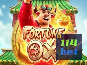 114BET login — painel de entrada no app oficial